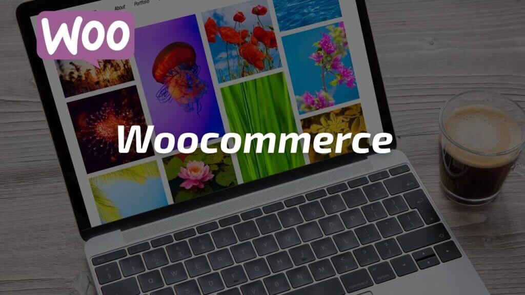 freelance SEO for Woocommerce and WordPress